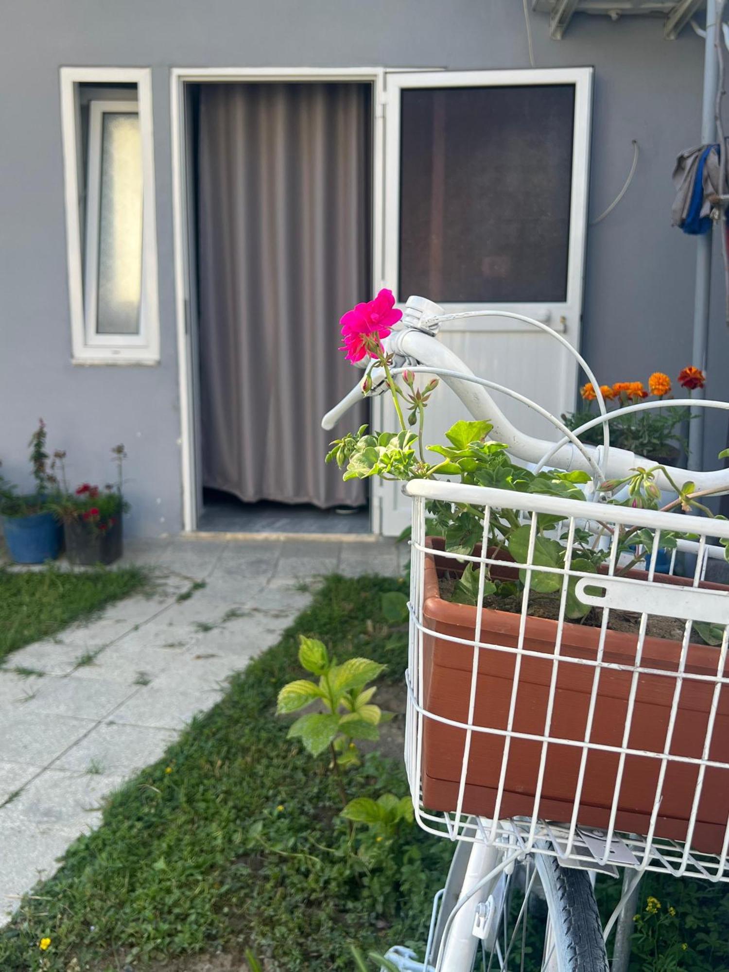 Happy Corner Guest House Shkodër Exterior foto